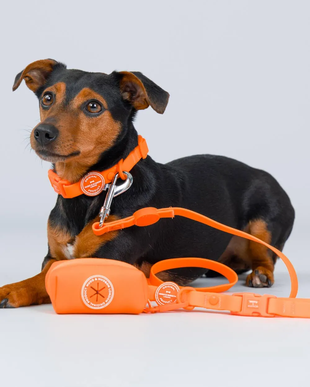 Waterproof Dog Lead - Orange